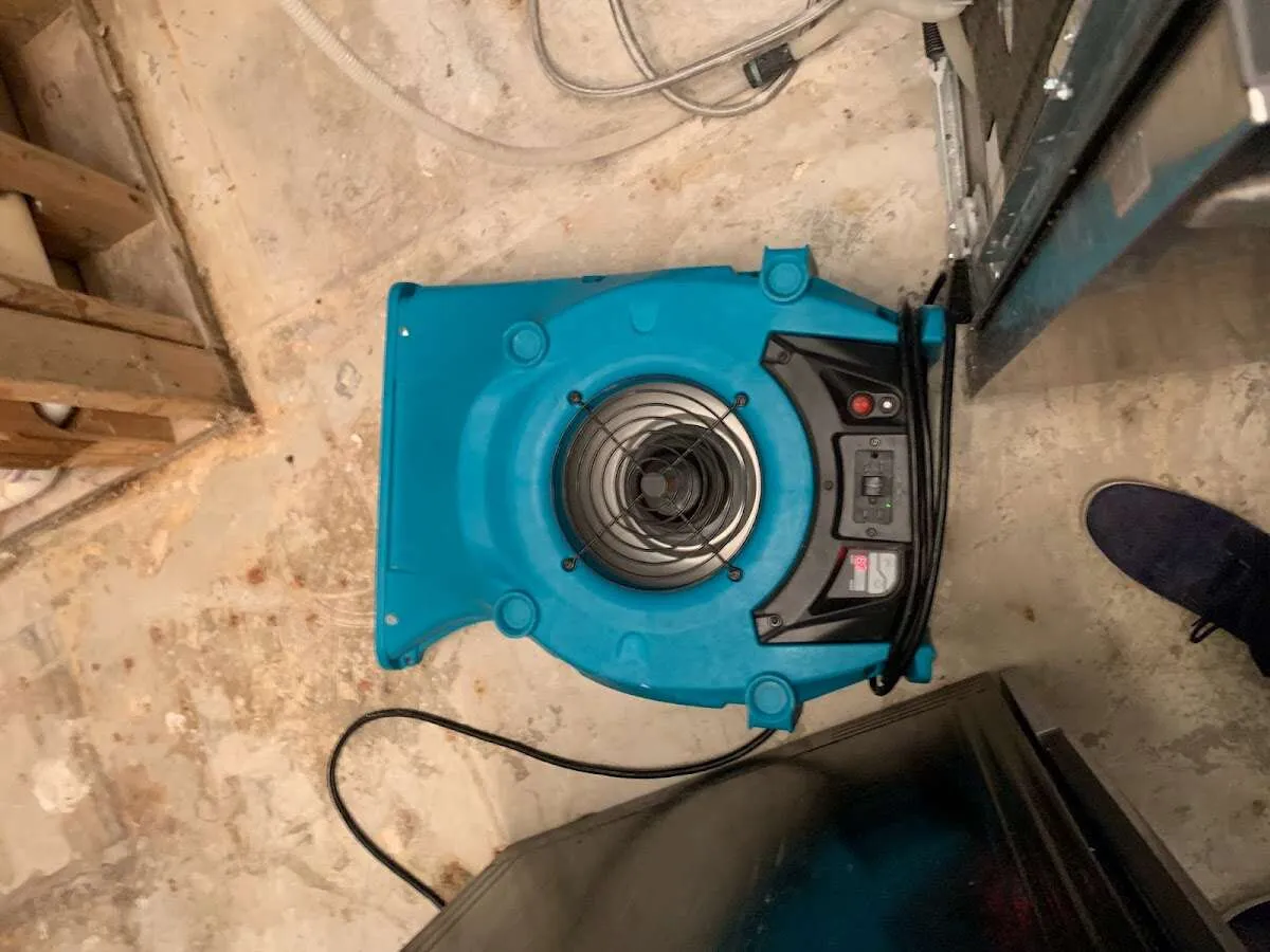 Air mover drying equipment for Mold Remediation & Removal in Havre